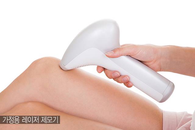 /사진=게티이미지뱅크