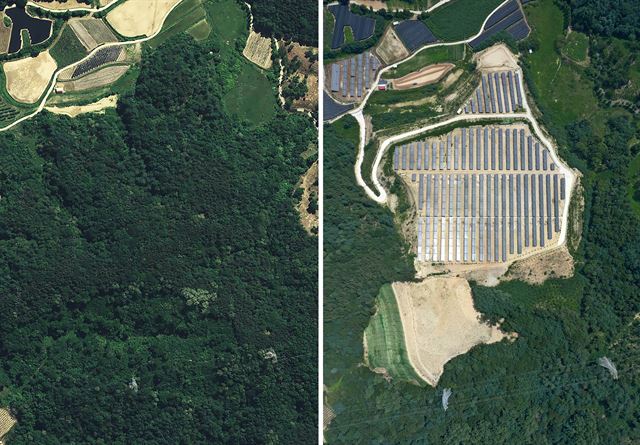 2016년 충남 금산군 제원면의 울창하던 숲(왼쪽)이 3년만인 지난 10일 사진 속에서 제법 큰 규모의 태양광 발전소로 변해 있다. 카카오맵ㆍ드론 촬영
