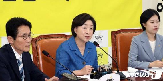 심상정 정의당 대표