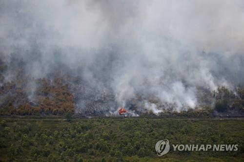 14일 촬영된 인니 칼리만탄의 산불 현장 [로이터=연합뉴스]