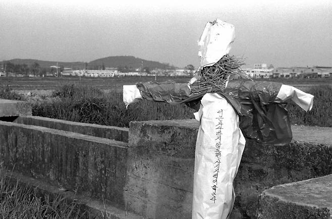 1986년 12월1일 연쇄 강간살인 사건이 발생한 화성군 태안면 주민들이 현장 주변 논에 허수아비를 세워놓았다. ⓒ 연합뉴스