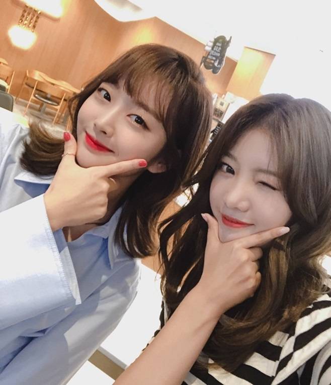 펀치 추화정