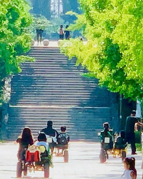 /사진=고소영 인스타그램