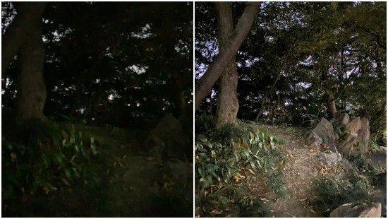 아이폰XR(왼쪽)과 아이폰11(오른쪽)으로 촬영한 야외 야간 사진. (사진=지디넷코리아)