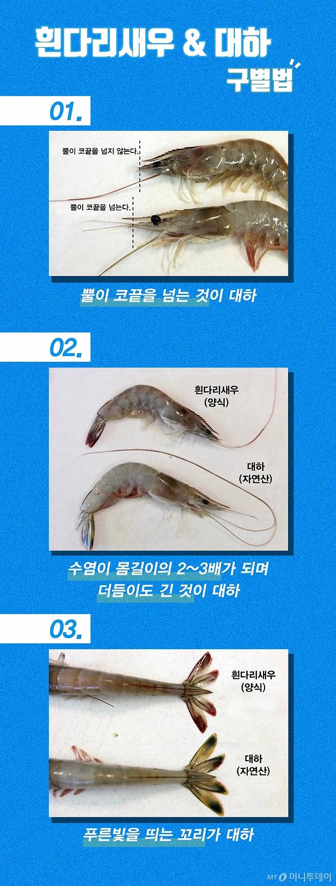 흰다리새우와 대하 구별법 /사진=유연수디자이너