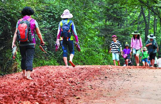 지난 8일 계족산 황톳길을 찾은 등산객들이 신발을 양손에 든 채 맨발로 황토의 감촉을 느끼며 걷고 있다.
