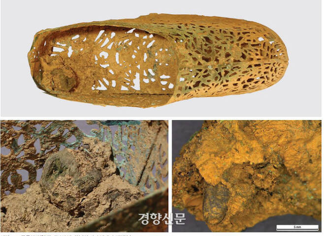 정촌고분에서 확인된 금동신발(위). 신발 안에는 사람의 발뼈(사진 아래의 왼쪽)와  파리 번데기 껍질(오른쪽)이 보였다.