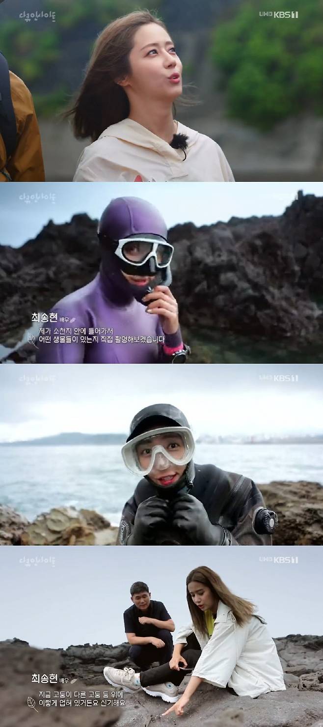 제주도 해안가에 형성된 조수웅덩이 탐사에 나선 최송현 ‘다큐인사이트-야생탐사 프로젝트 와일드 맵’. KBS 1TV 제공