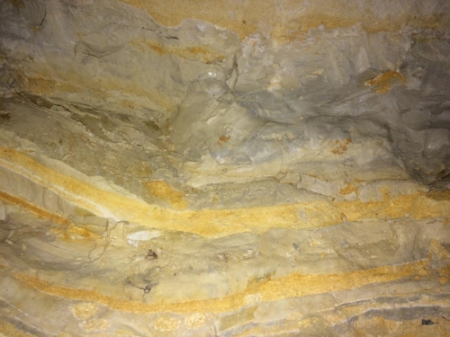 네덜란드 동굴에서 발견된 K-Pg 경계를 담은 화석 [미카엘 헤네한 제공]