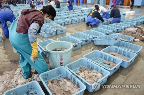 일본 후쿠시마현의 한 어항(漁港)에 수산물이 놓여 있다. [교도=연합뉴스]