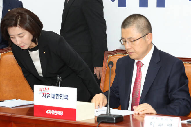 황교안 한국당 대표(오른쪽)와 나경원 원내대표 (사진 = 뉴시스)