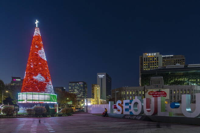 서울시청광장에 들어선 대형 크리스마스트리