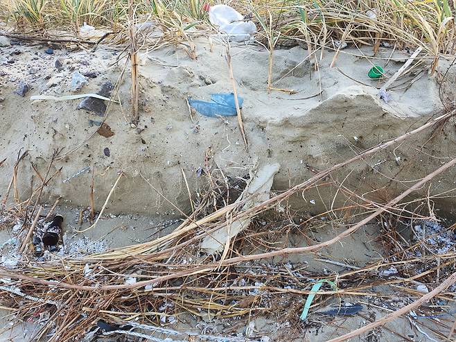 지난 5일 전남 신안군 자은면 내치해변에 해양 쓰레기들이 널려 있다. 일부는 오랜 시간이 흐른 듯 땅 속에 파묻혀 있다. 프리랜서 장정필