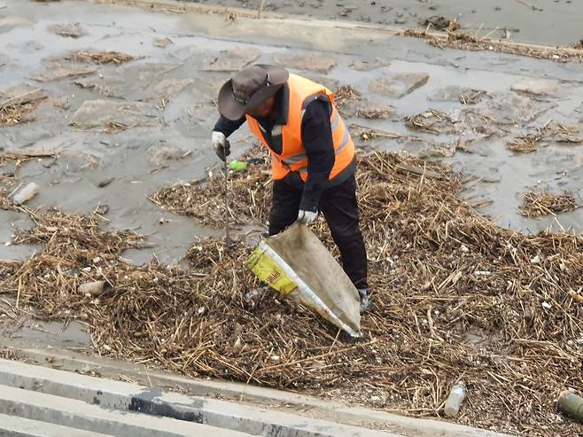 지난달 25일 양쯔강 하구 난후이 강변에서 쓰레기를 치우고 있는 동궈신(66)씨. 지난 7월부터 중국 정부에 고용돼 400m 구역을 매일 청소하고 있다. 진창일 기자