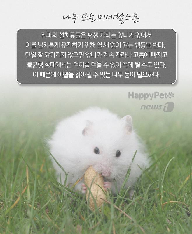 © 뉴스1