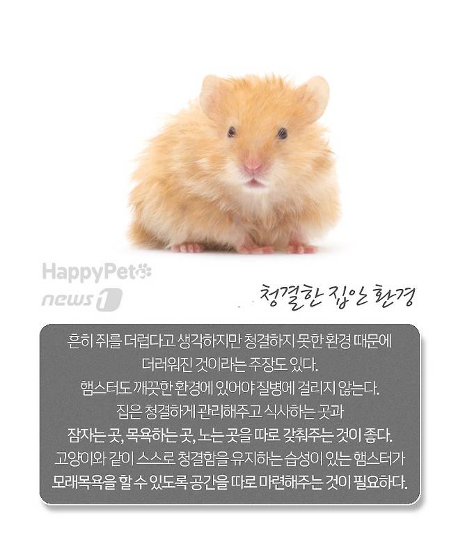 © 뉴스1