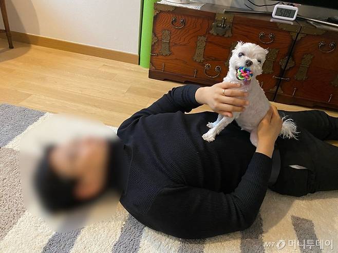 똘이야, 네가 웃고 있는 건 내가 잘 놀아주고 있는 거 맞제?/사진=똘이 마사지를 지켜보는 남형도 기자 아내