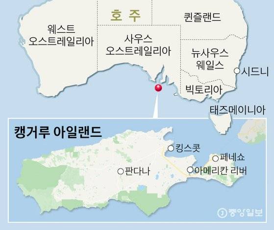 캥거루 아일랜드. 그래픽=신재민 기자