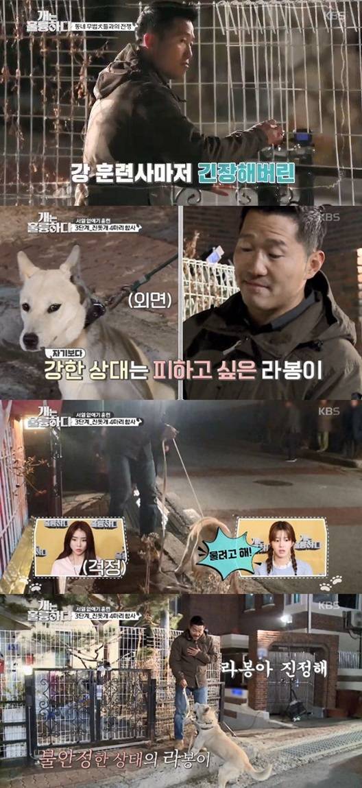 /사진='개는 훌륭하다' 방송 화면