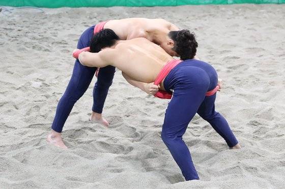 손희찬 선수는 상대방의 아래 틈을 파고드는 밑씨름을 구사한다. 장진영 기자