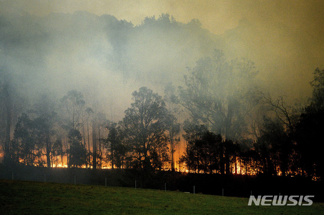 [캔버라(호주)= AP/뉴시스] 3000가구 이상의 주택을 불태운 호주 뉴사우스웨일스 주의 산불.  진화를 돕기 위한 군 수송헬기가 착륙시 일으킨 스파크로 인해 화재가 재발화, 수도 캔버라 일대의 주택지들이 위협받고 있다.