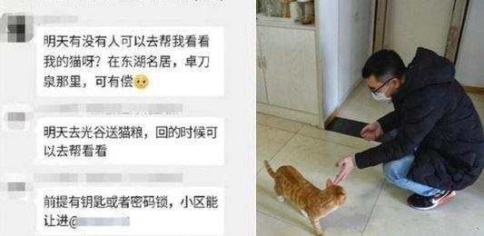 한 남성이 중국판 트위터 웨이보에 “제 고양이에게 밥 주실 분 있으신가요?”라는 글을 올려 도움을 요청했다. 이 글을 본 누리꾼이 해당 고양이에게 먹이를 주는 등 도움의 손길을 보냈다. 웨이보 캡처