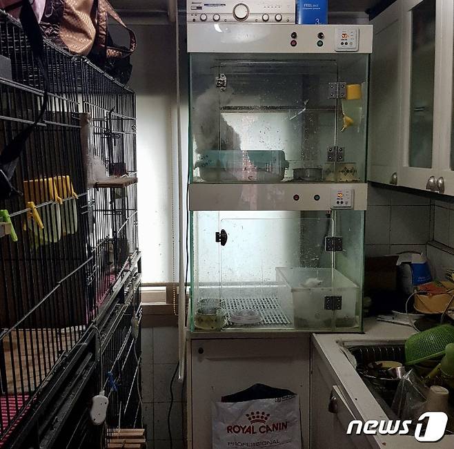 부산 수영구 한 2층짜리 주택에서 고양이 300여 마리가 작은 철장에 나뉘어져 사육되고 있는 현장이 발견됐다. (동물보호단체라이프(LIFE) 제공)© 뉴스1