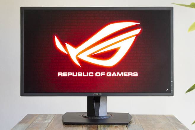 가격은 30만 원대로 24인치 모니터로는 비싼 편이다.