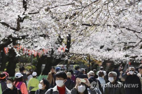 (도쿄 AP=연합뉴스) 24일 일본 도쿄도(東京都) 소재 우에노(上野)공원에서 마스크를 쓴 방문객들이 벚꽃을 구경하고 있다. 2020.3.25
