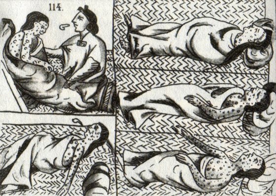 16세기 [피렌체 코덱스]에 수록된 천연두에 걸린 아즈텍 원주민의 모습을 묘사한 그림. 스페인 정복자들이 옮긴 천연두 바이러스가 남미 원주민 문명을 무너뜨리면서 대항해시대를 불렀다.
