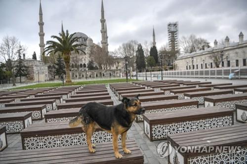 코로나19로 한산한 이스탄불 술탄 아흐메드(블루 모스크) 모스크 앞 [AFP=연합뉴스]