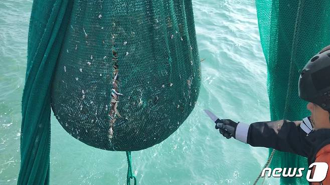 제주해경이 해상에 설치된 범장망에 잡힌 어획물들을 방류 조치하고 있다.(제주해양경찰청 제공)2020.4.10 /뉴스1© News1