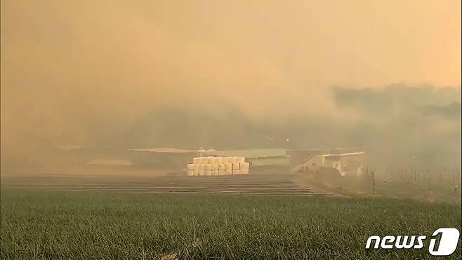 25일 오후 경북 안동시 남후면 단호리에 있는 농가가 산불 연기에 뒤덮혀 있다. 안동시는 단호리와 고하리 주민들에게 대피령을 내렸다. 이날 낮 12시 쯤 주불이 잡혔자만 강풍에 불이 되살아나면서 확산되고 있다. (독자제공)2020.4.25/뉴스1 © News1 최창호 기자