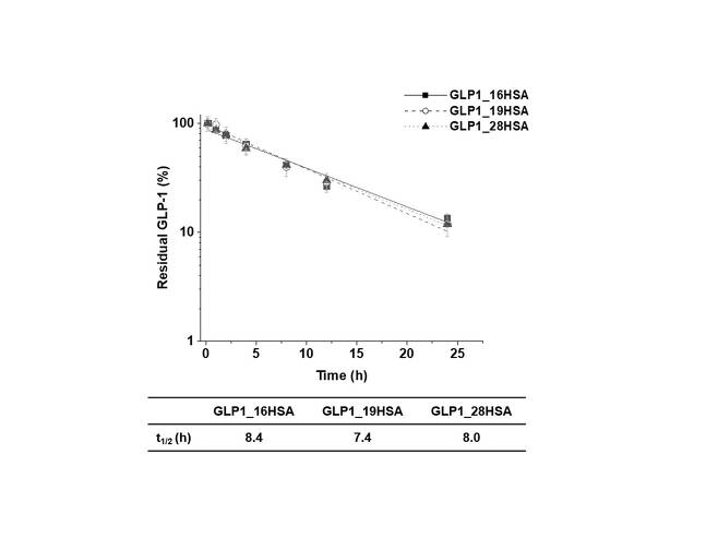 알부민 결합 위치를 바꾸어가며 반감기를 측정하였을 때, GLP-1과 알부민 결합체는 실험 쥐에서 8시간 가량의 반감기를 가지는 것으로 확인됐다. (광주과학기술원 제공) 2020.04.28 / 뉴스1