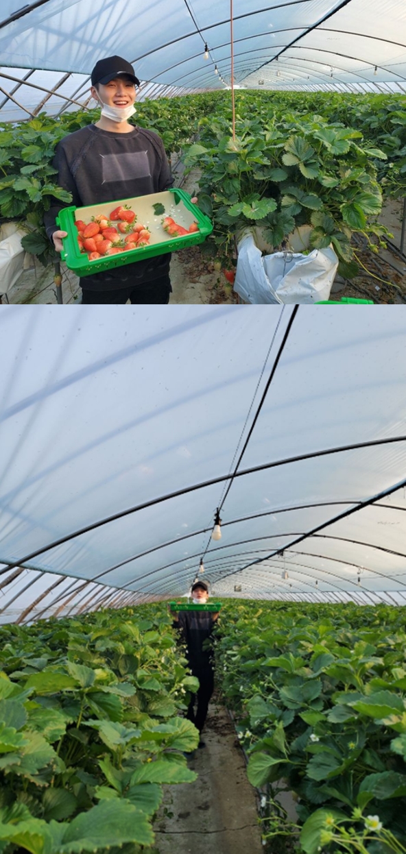 방탄소년단 슈가가 딸기농장에서 촬영한 근황 사진을 공개했다. 사진=방탄소년단 공식 트위터