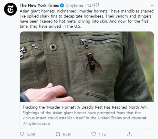 뉴욕타임스가 2일(현지시간) 트위터에 관련 소식을 전하며 ‘아시아 거대 말벌(Asian giant hornets)’이라고 썼지만 ‘살인 말벌(murder hornets)’이라는 추가설명을 달아 인종차별적인 인식을 불러일으켰다는 비판을 사고 있다. 트위터 캡처