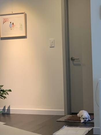 응아 다 했으면 빨리 나와 형아, 나 기다려.이럴 땐 몹시 집중하기 어렵다./사진=남형도 기자 아내