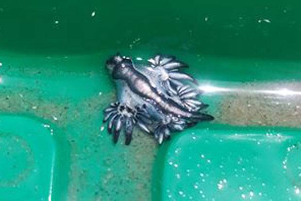 사진=파드리섬국립공원