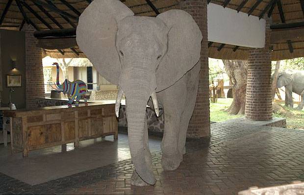 사진=아프리카 잠비아 음푸웨롯지