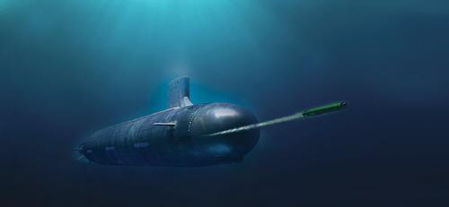 잠수함에서 발사되는 MK 48 Mod 6 AT 중어뢰 [미국의 대형 방산업체 레이시언 홈페이지 캡처. 재판매 및 DB 금지]