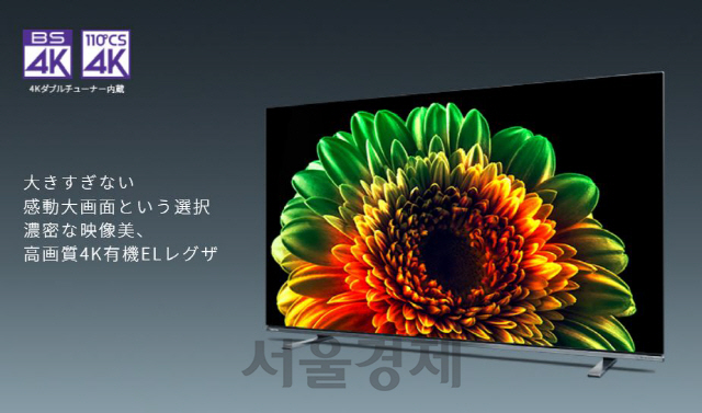 일본 가전브랜드 도시바는 이달 중순 48인치형 OLED TV 신제품을 출시한다./홈페이지 캡쳐