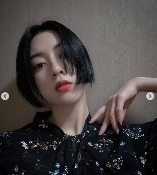 미요시 아야카/사진=미요시 아야카 인스타그램