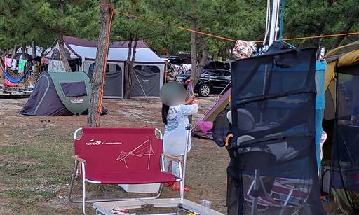 지난 13일 오후 강원도 고성군 한 해변 인근 소나무 숲 캠핑장에서 아이들이 뛰어 놀고 있다.