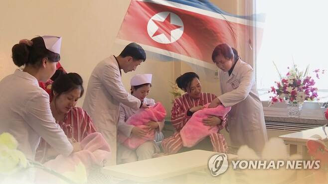 통일하면 인구늘지만…북한 저출산 심각(CG) [연합뉴스TV 제공]