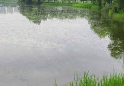 녹조제거제 '마이팅션'을 사전에 투입한 수원 일월저수지 ⓒ정우티엔에스