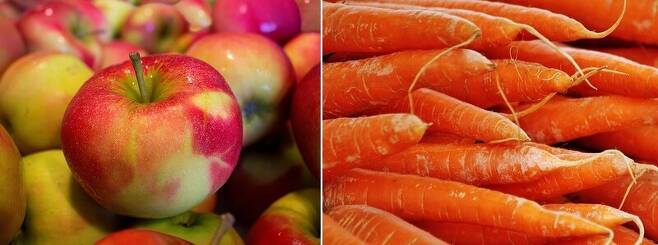 과일에선 사과, 채소에선 당근이 미세플라스틱 검출량이 가장 많았다. 픽사베이