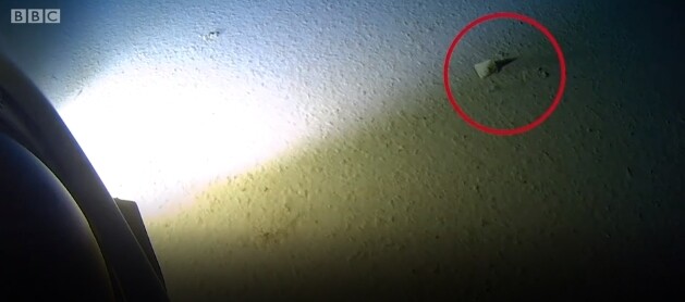마리아나해구에서 발견된 비닐봉지. 비비시 화면
