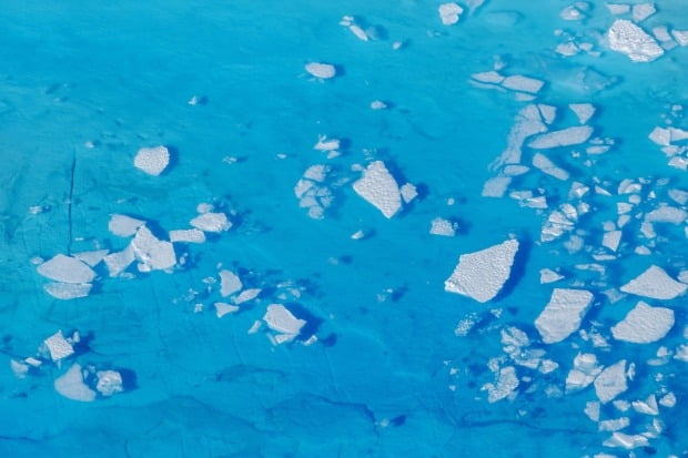 그린란드 타실라크 근처 빙하가 녹은 물 위로 얼음 파편들이 떠다니고 있다. 로이터연합뉴스