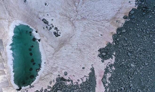 이탈리아 북부 알프스의 프레세나 빙하에 쌓인 눈이 최근 분홍색으로 변해 있다. 아에프페 통신