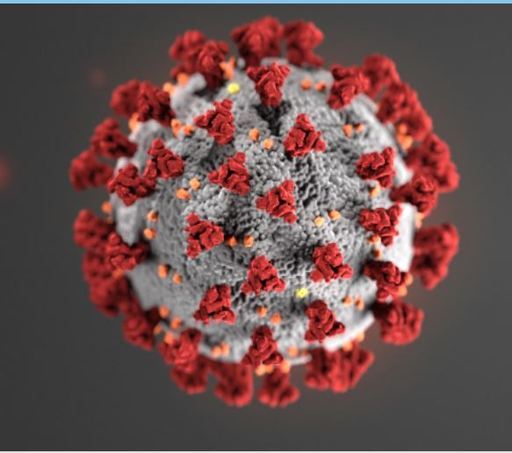 미국 질병통제예방센터(CDC)가 이미지화한 코로나 19 바이러스. 미국 CDC 홈페이지